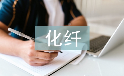 化纖企業(yè)工作總結(jié)
