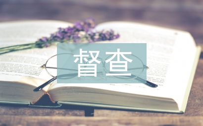 督查工作意見