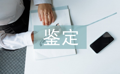 黨支部鑒定意見