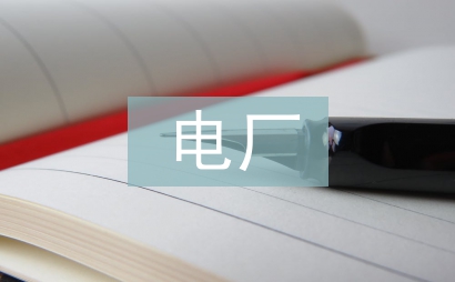 電廠企業經濟管理分析