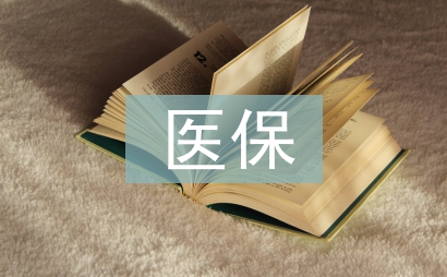 醫保科科長述職報告