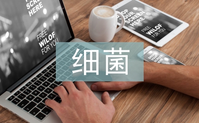細菌教案