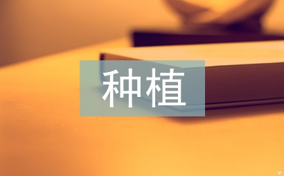 油茶種植可行性報告