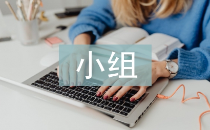 小組實訓總結