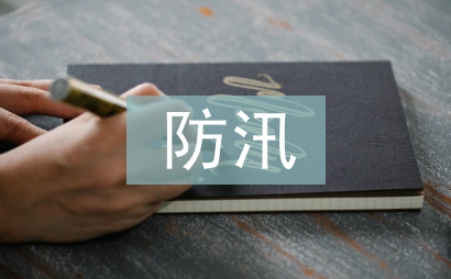 水利工程防汛工作總結(jié)