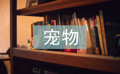 寵物護(hù)理
