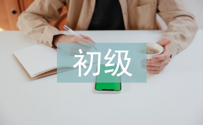初級(jí)會(huì)計(jì)論文