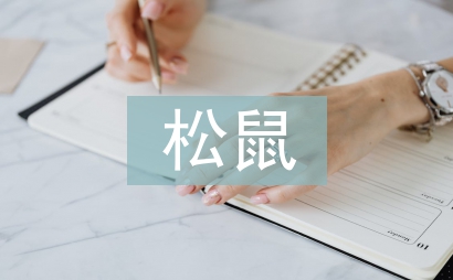 松鼠和松果