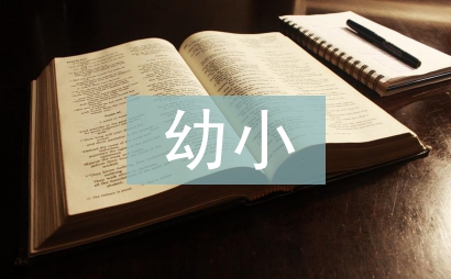 幼小銜接活動總結