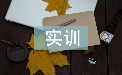 財務核算實訓總結