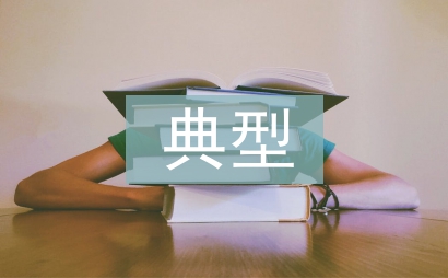 典型匯報材料