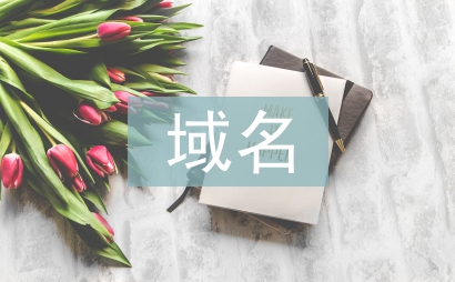 互聯網域名管理辦法