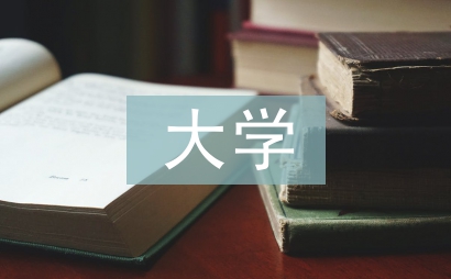大學文化工作計劃