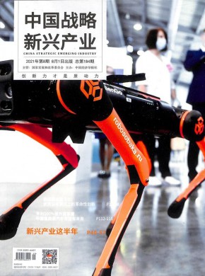 中國(guó)戰(zhàn)略新興產(chǎn)業(yè)