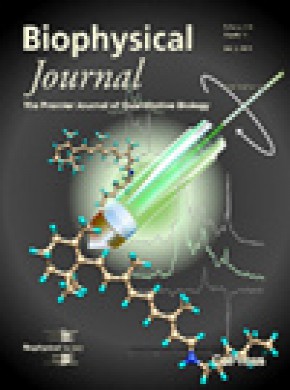 Biophysical Journal雜志
