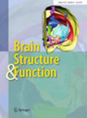 Brain Structure & Function雜志