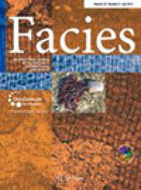 Facies雜志