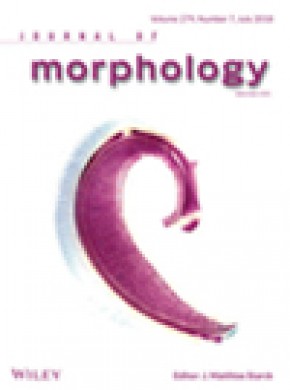 Journal Of Morphology雜志