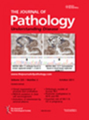 Journal Of Pathology雜志