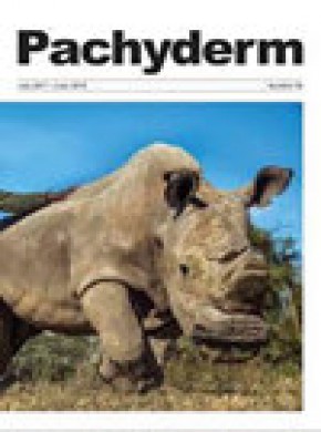 Pachyderm雜志