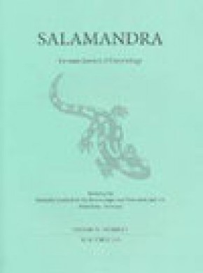Salamandra雜志