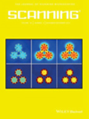 Scanning雜志