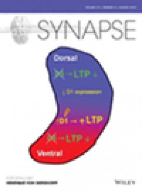 Synapse雜志