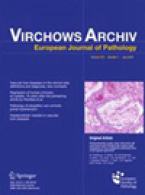 Virchows Archiv雜志