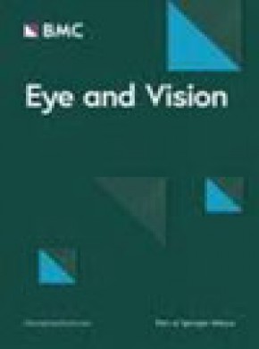 Eye And Vision雜志