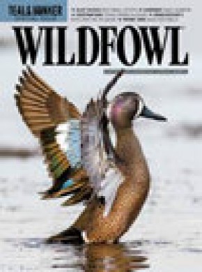 Wildfowl雜志