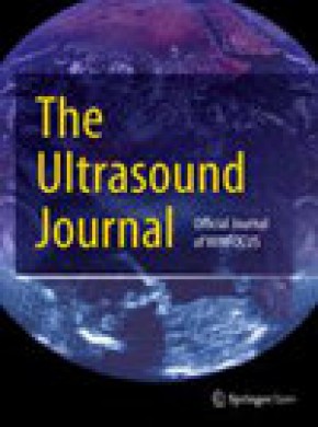 Ultrasound Journal雜志