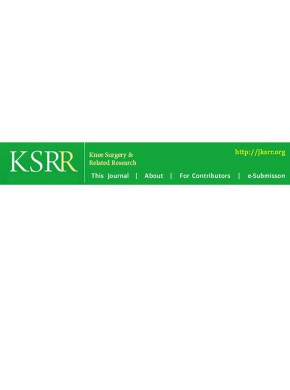 Knee Surgery & Related Research雜志