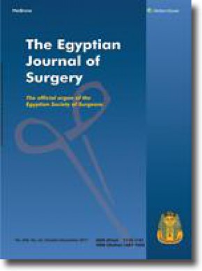 Egyptian Journal Of Surgery雜志