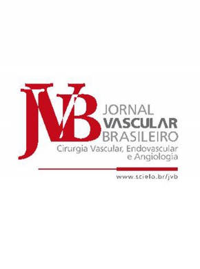 Jornal Vascular Brasileiro雜志