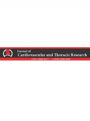 Journal Of Cardiovascular And Thoracic Research雜志
