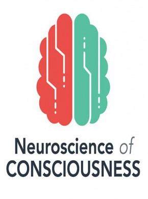 Neuroscience Of Consciousness雜志