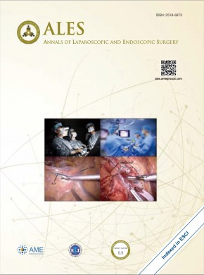Annals Of Laparoscopic And Endoscopic Surgery雜志