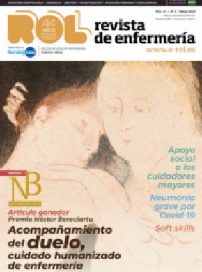 Revista Rol De Enfermeria雜志