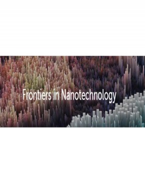 Frontiers In Nanotechnology雜志