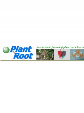 Plant Root雜志