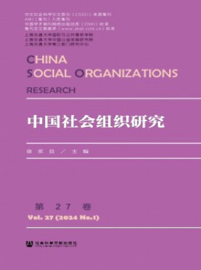 中國社會組織研究