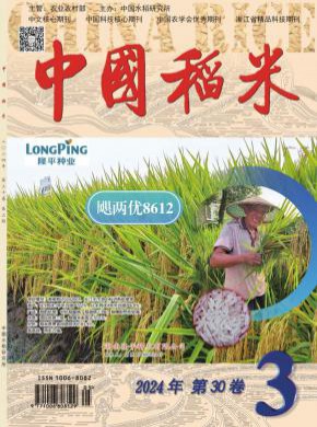 中國(guó)稻米