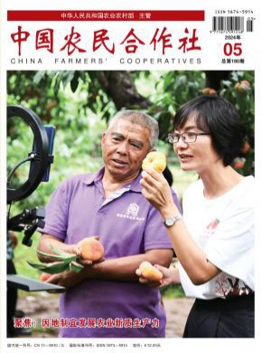 中國農民合作社