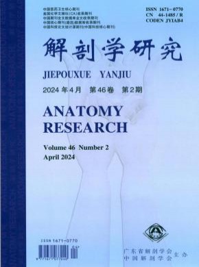 解剖學(xué)研究