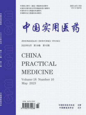 中國實用醫藥