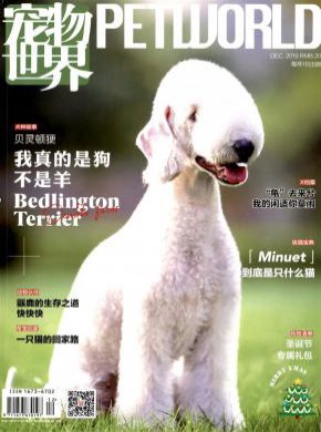 寵物世界