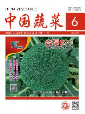 中國蔬菜