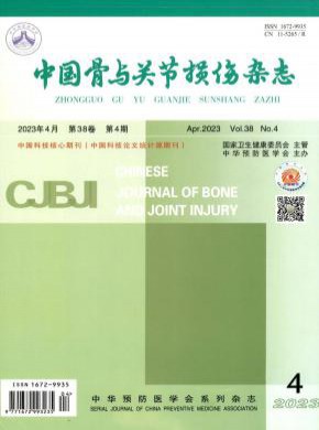 中國骨與關節損傷