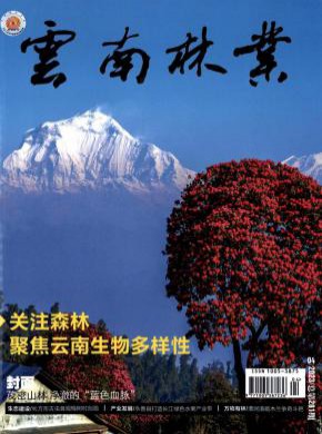云南林業