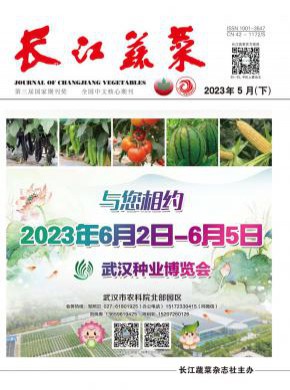 長江蔬菜